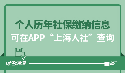 个人历年社保缴纳信息APP可直接查询