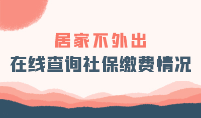居家不外出，在线查询社会保险缴费情况